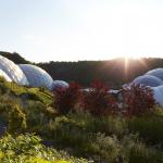 Eden Project biomes